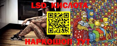 крисы Боровичи