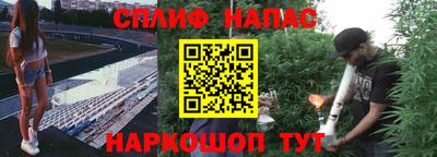 гашик Владимир