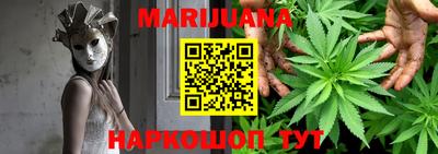 крисы Боровичи